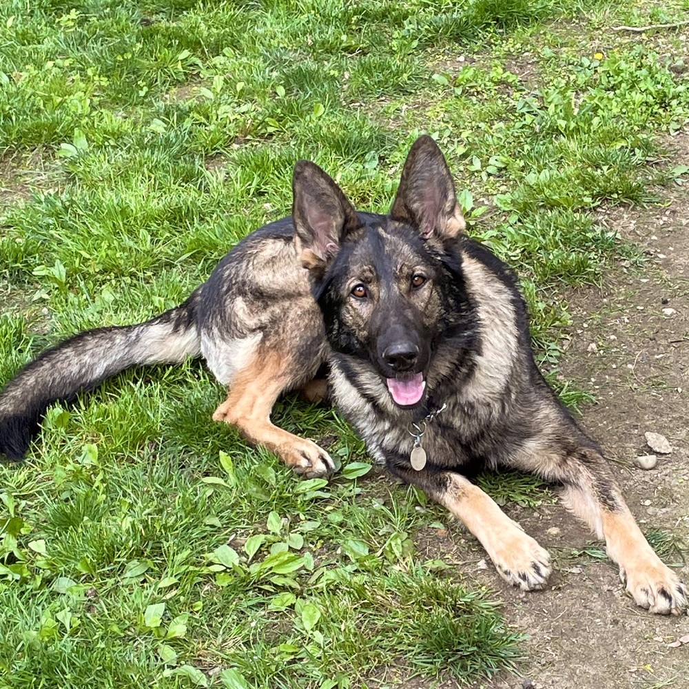 Meet your Posher, Ann